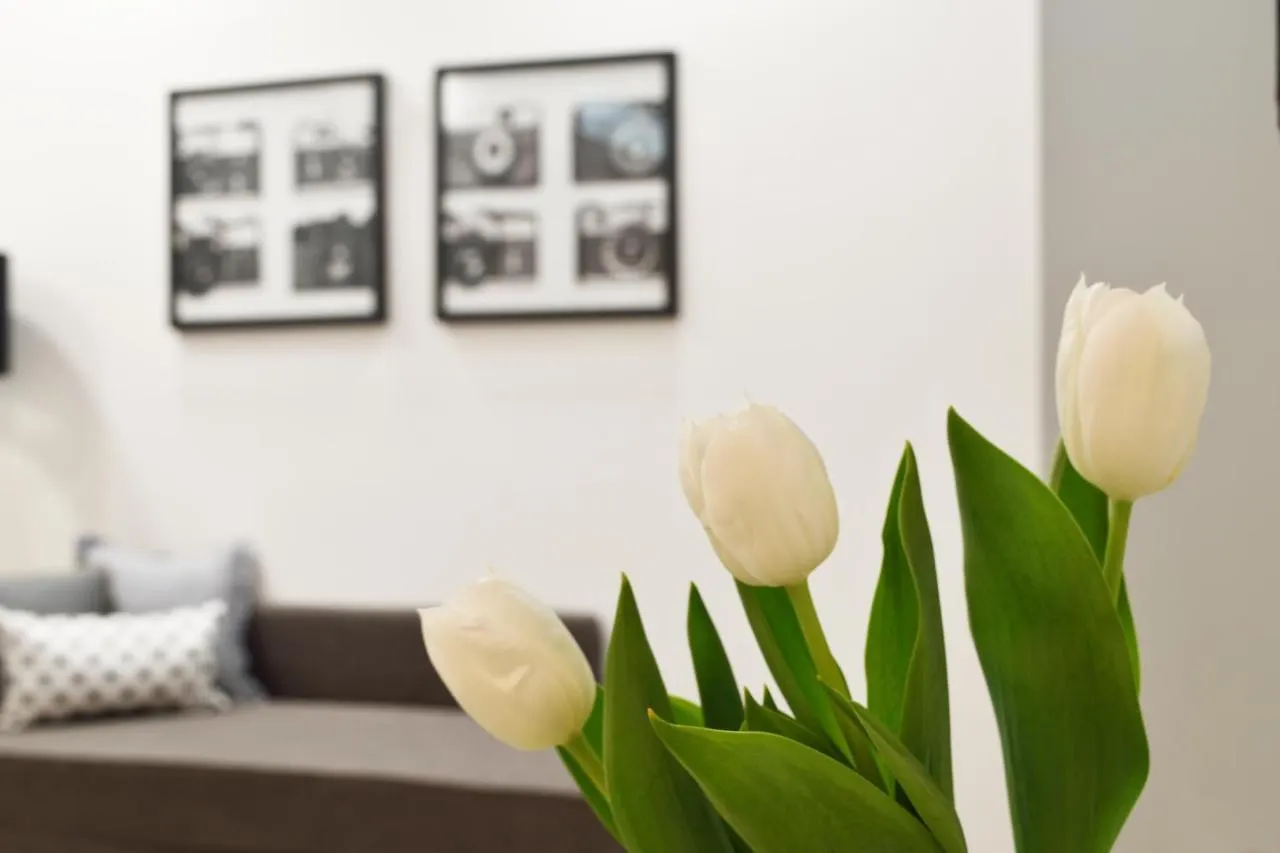 Washington City Studio - Hq Milano City Italia